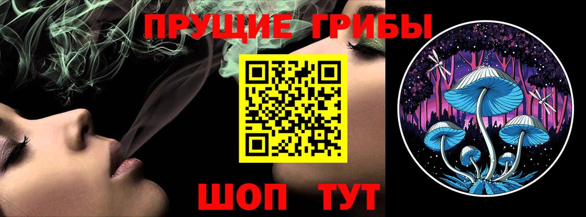 Волжский  Псилоцибиновые грибы Psilocybine cubensis  Вход с VPN 