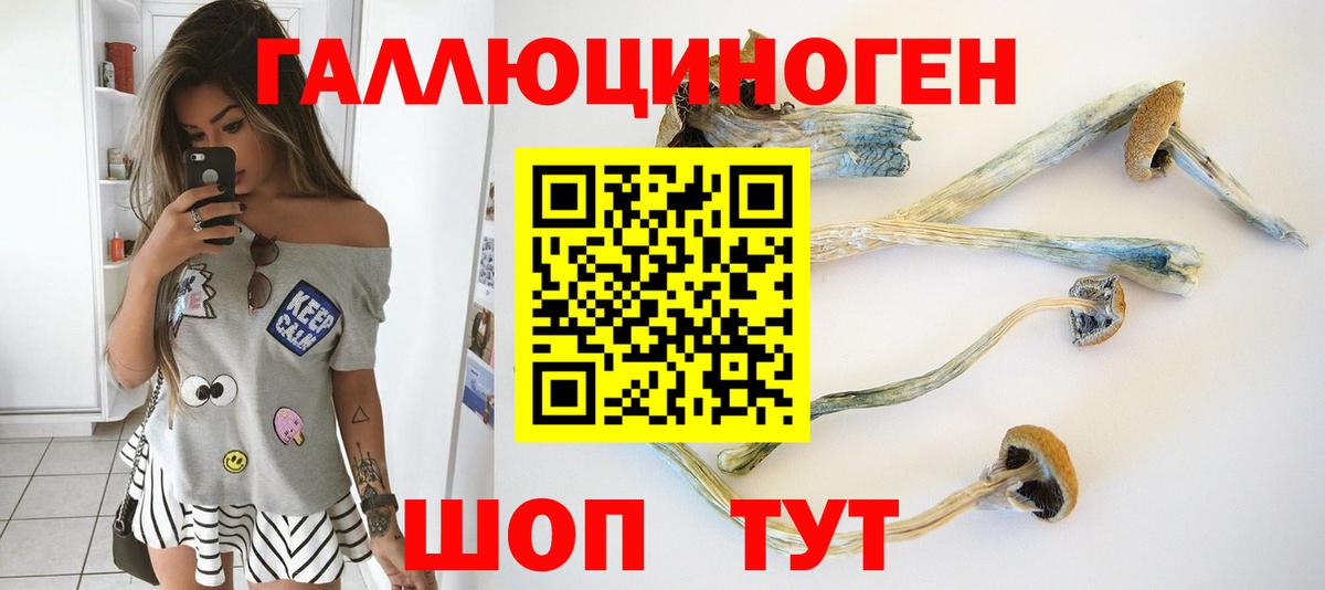 Галлюциногенные грибы ЛСД Волжский